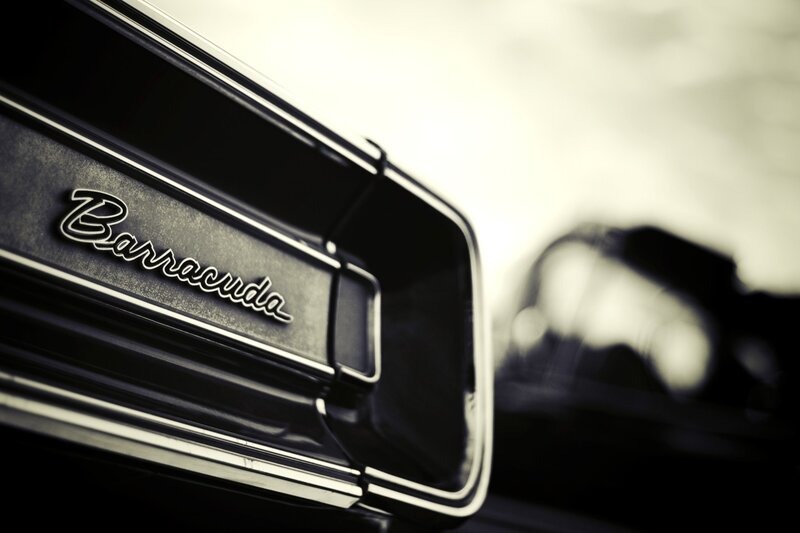 Barracuda Car Emblem