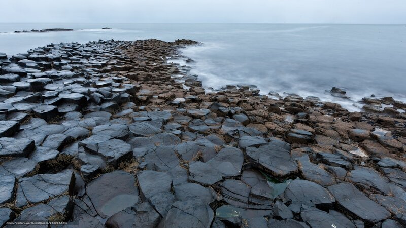 Basalt Columns at Coastline — Gray, Serene