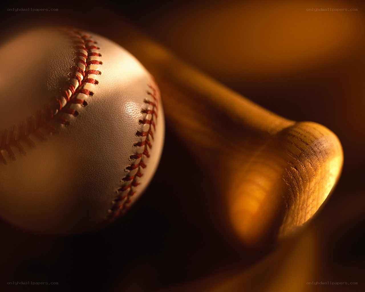 Baseball and bat in warm light