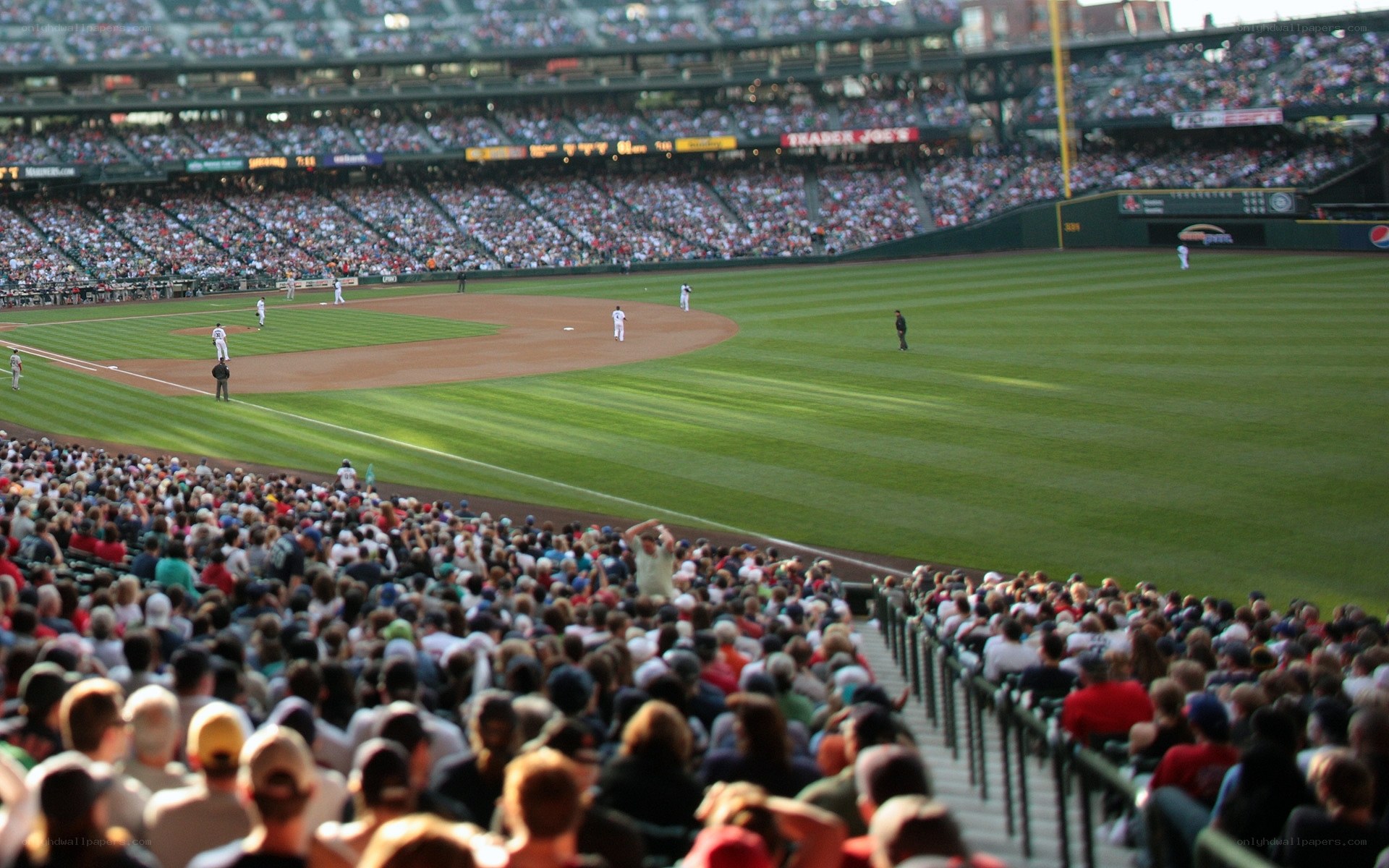Baseball game at stadium
