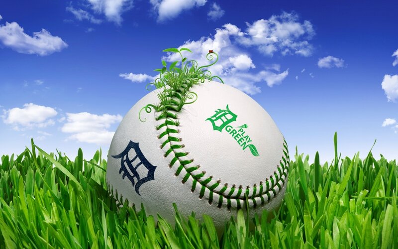 Baseball in Grass