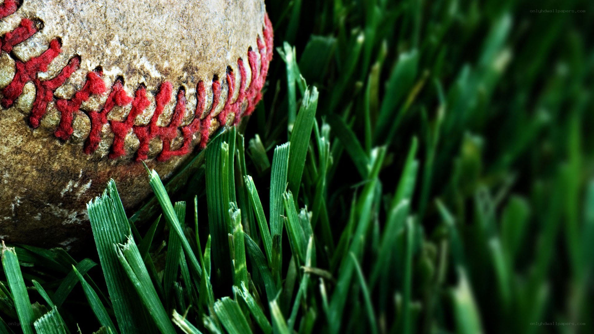 Baseball on green grass