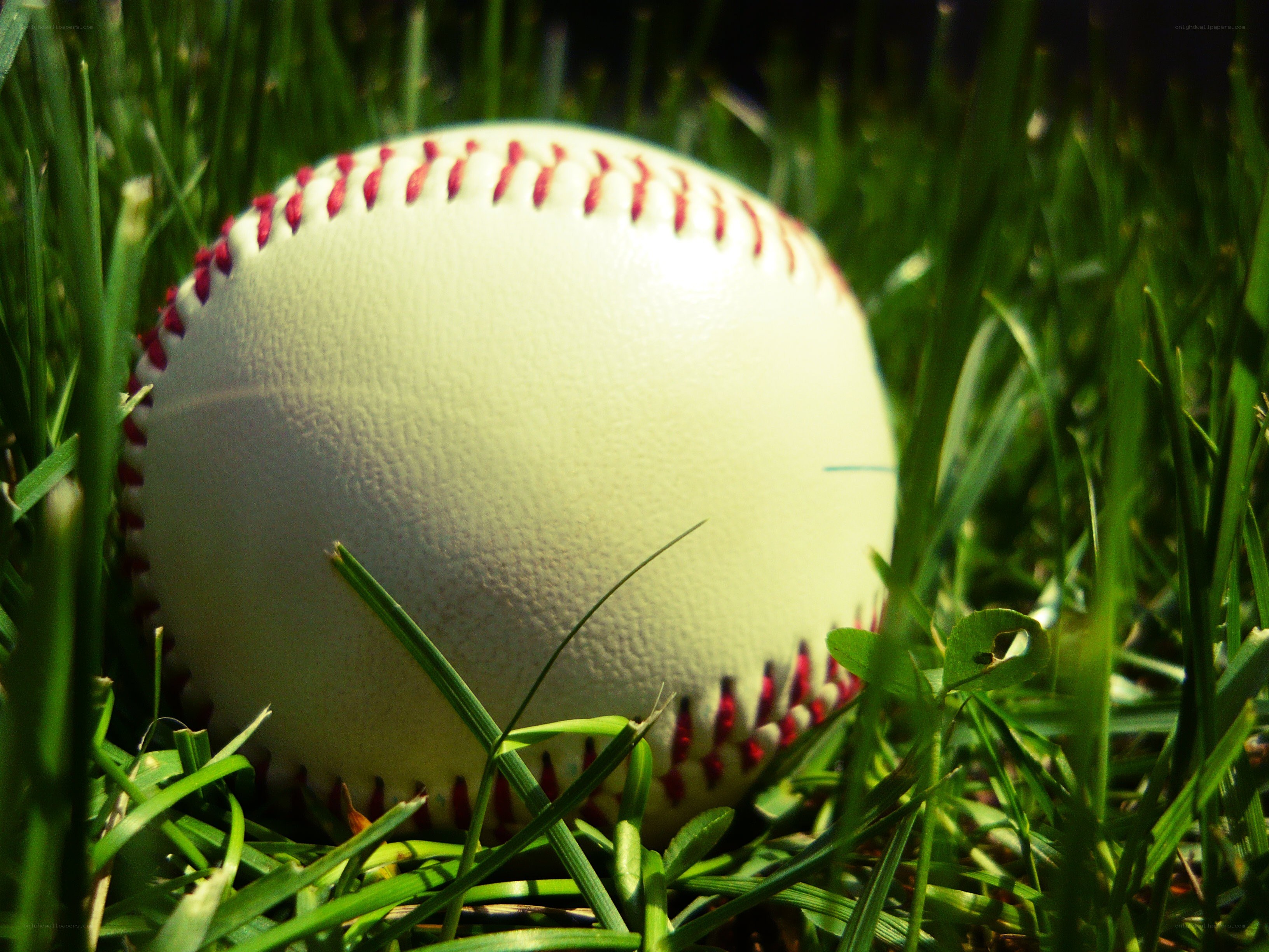 Baseball on green grass