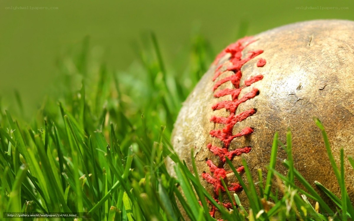 Baseball on green grass