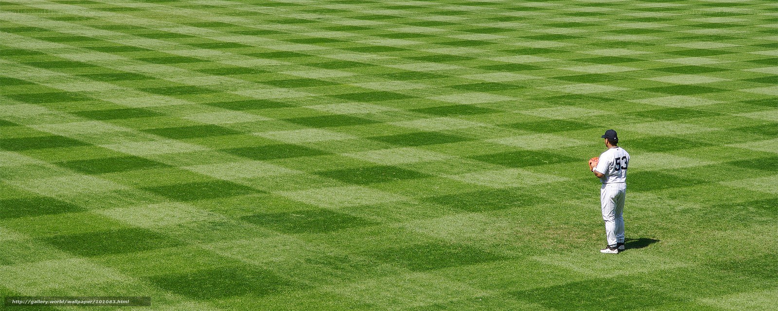 Baseball player on field