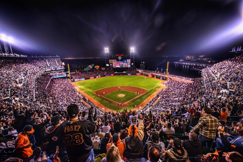 Baseball Stadium Crowd — Black