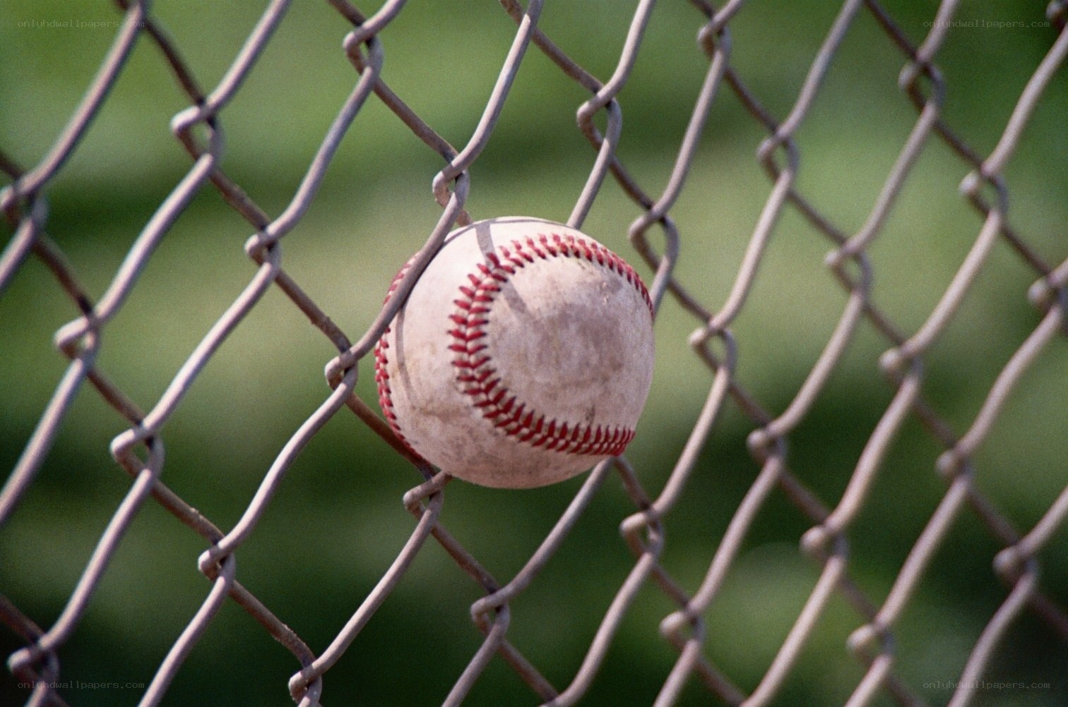 Baseball stuck in chain-link fence
