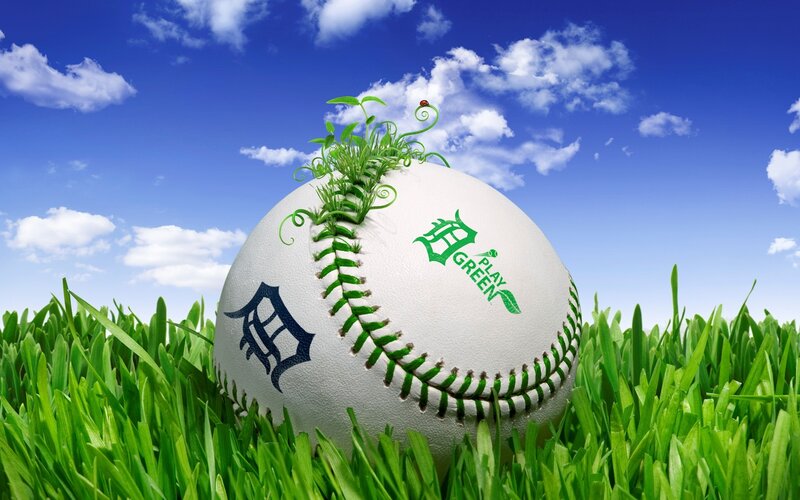 Baseball with Sprouting Plant — Green