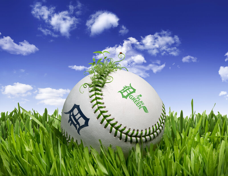Baseball with Sprouting Plant