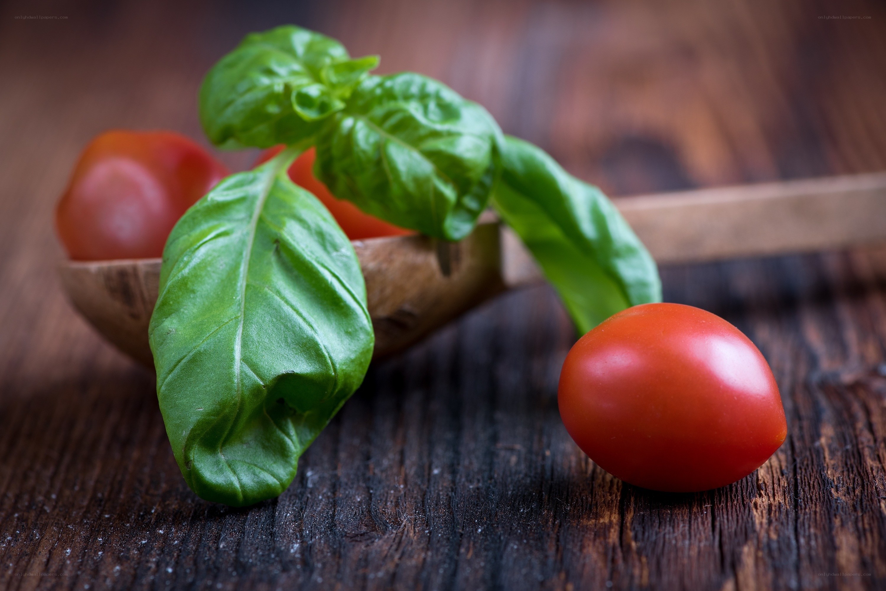 basil and cherry tomatoes