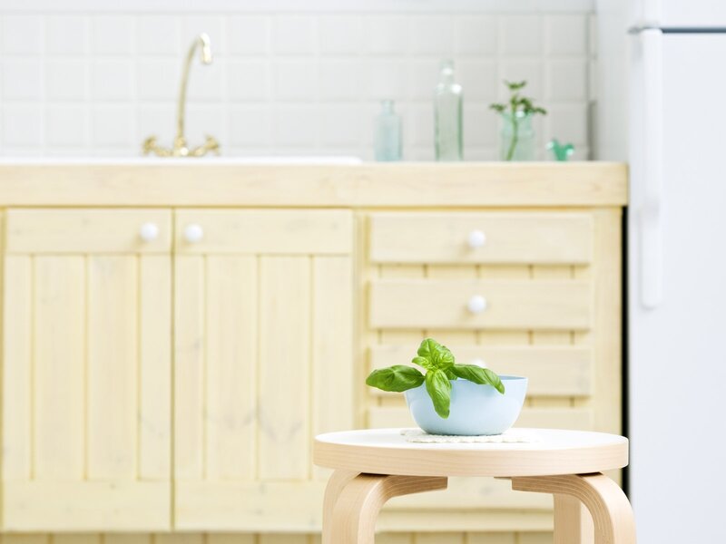 Basil in a kitchen bowl