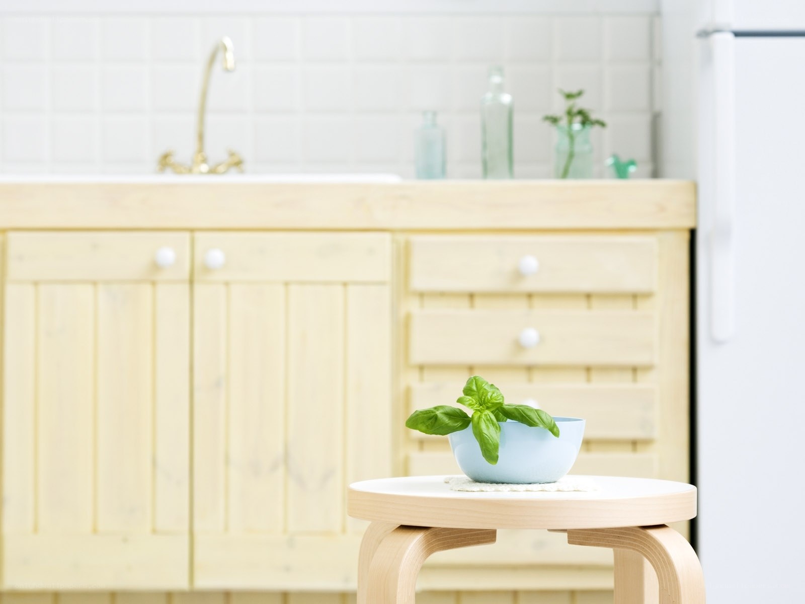 Basil in a kitchen bowl