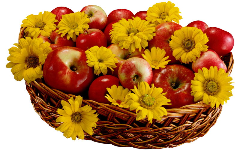 Basket of Apples and Flowers — Red