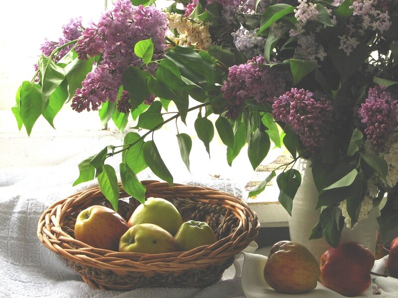 Basket of Apples and Lilacs