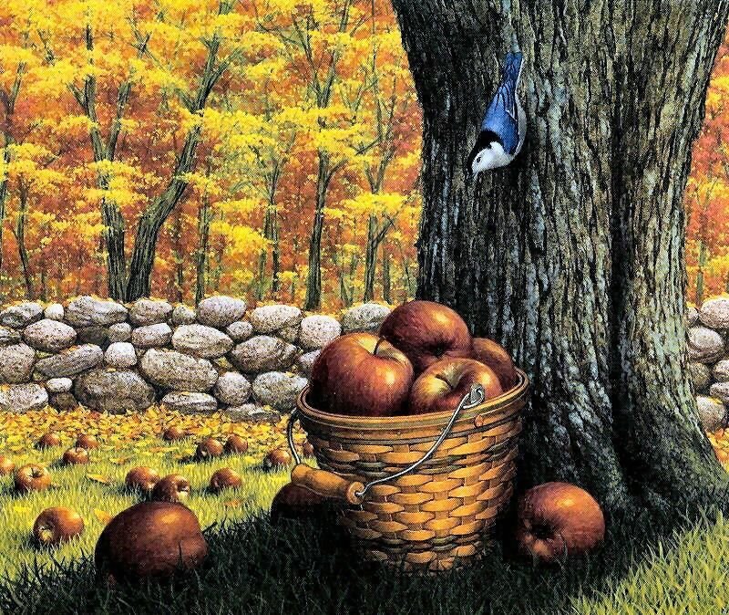 Basket of Apples under Tree