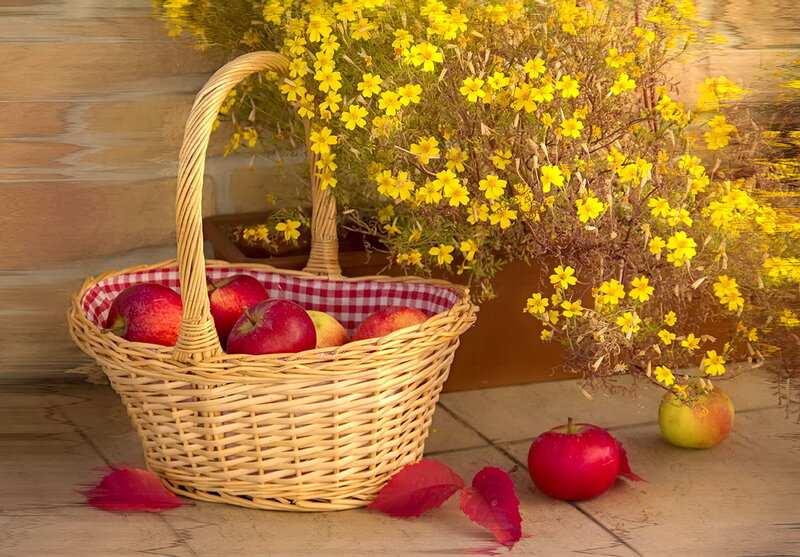 Basket of Apples — Yellow