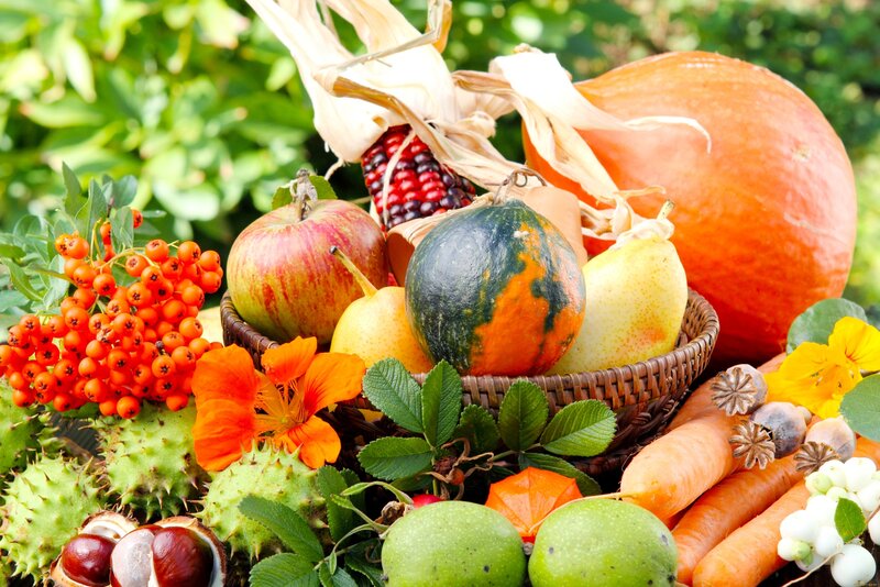 Basket of Autumn Produce