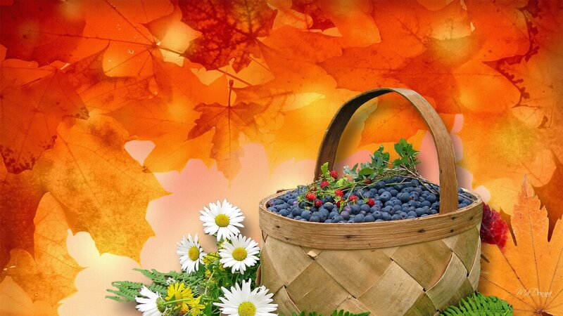 Basket of Blueberries