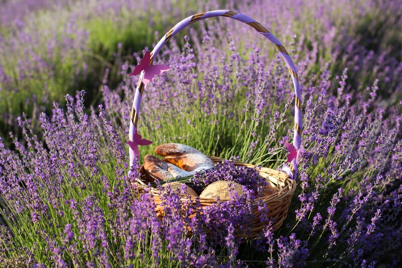 Basket of Bread in Lavender