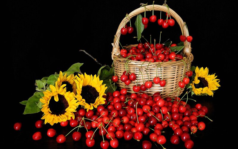 Basket of Cherries — Red, Dramatic, Photograph