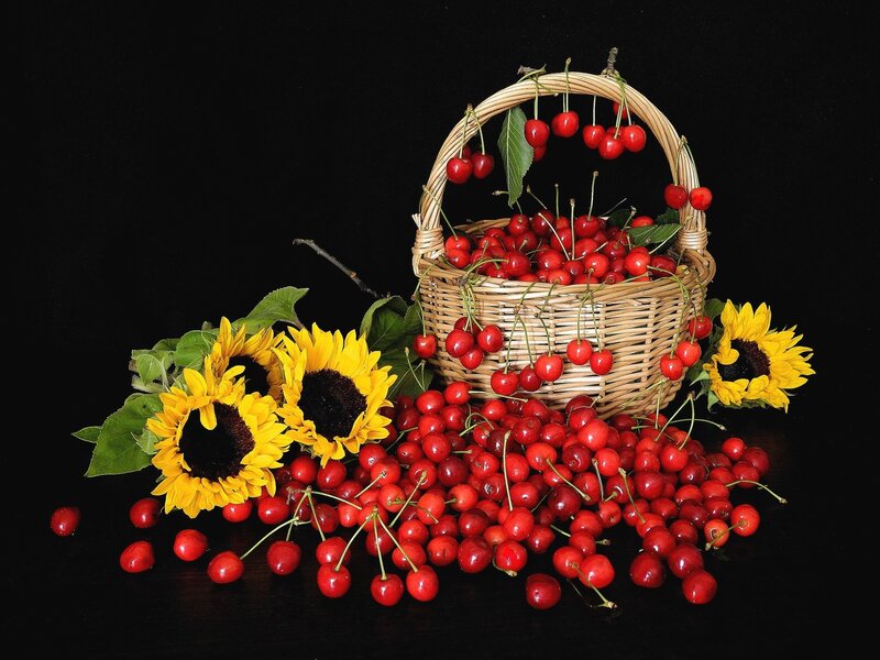 Basket of Cherries — Red, Dramatic