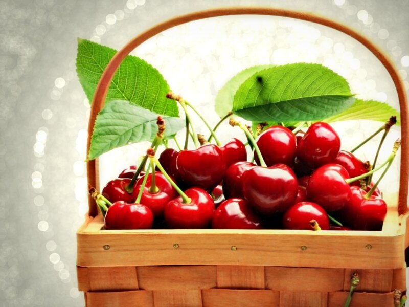Basket of Cherries