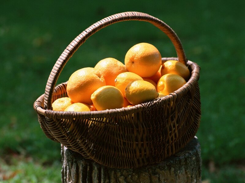 basket of citrus fruits