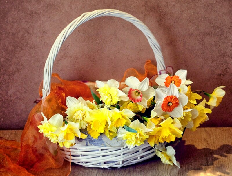 Basket of Daffodils