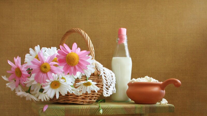 Basket of Daisies and Milk