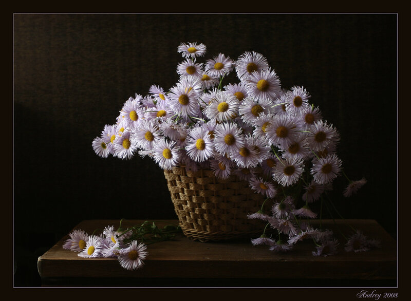 Basket of Daisies