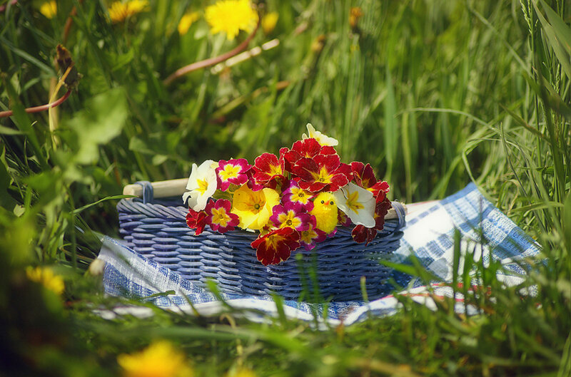 Basket of Flowers in Grass