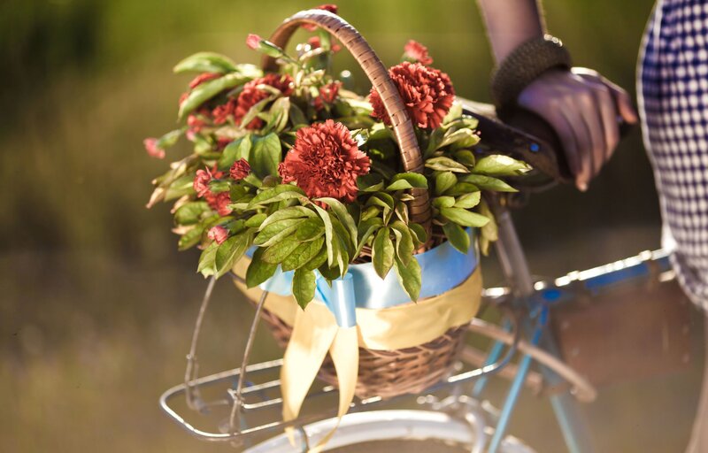 Basket of Flowers on Bicycle