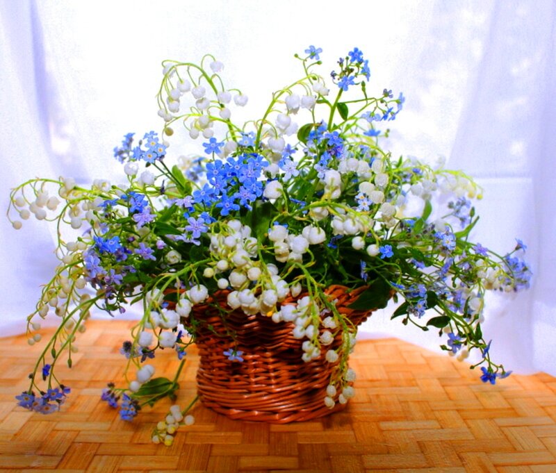 Basket of Flowers — White, Serene, Spring