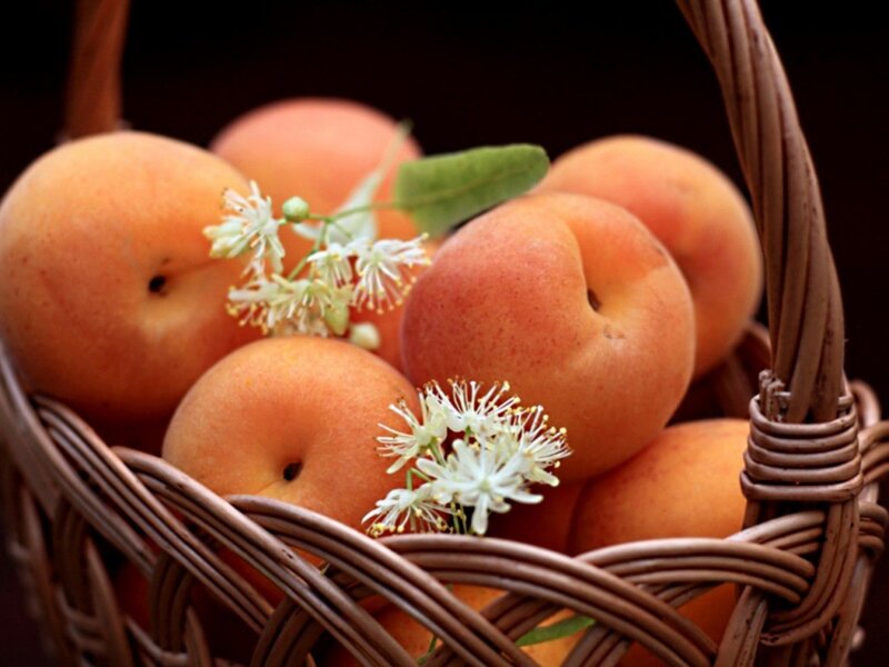 basket of fresh apricots