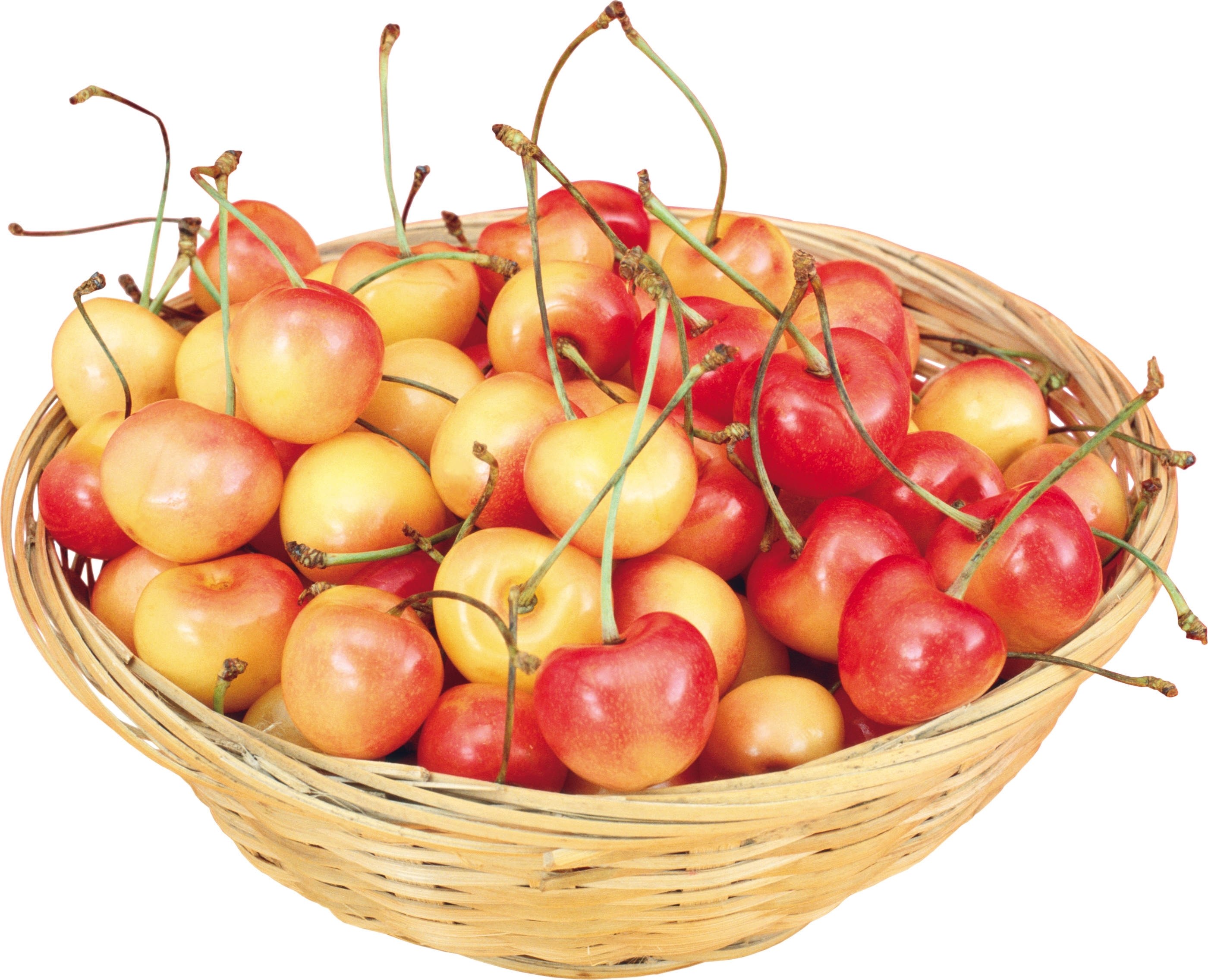 basket of fresh cherries
