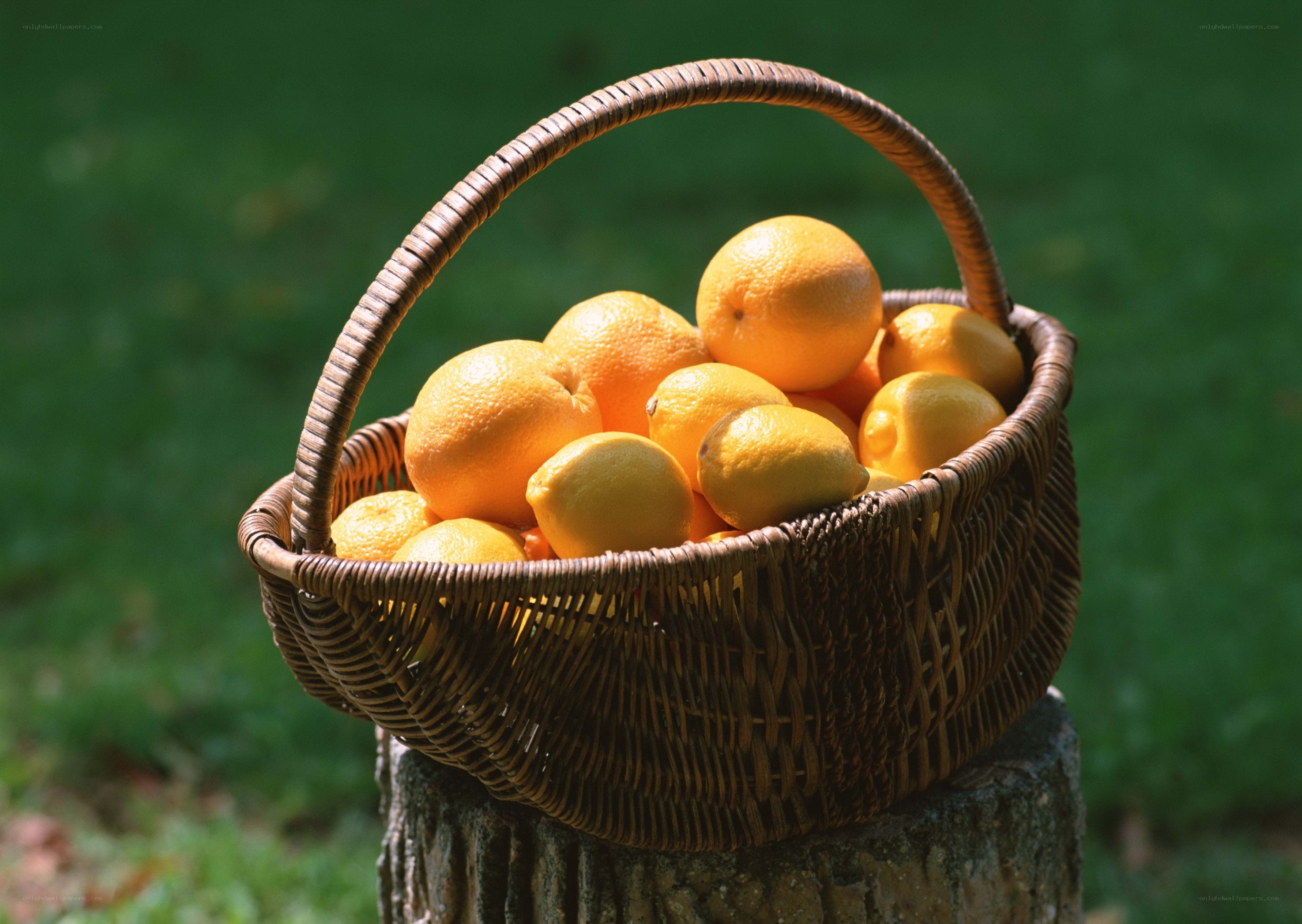 Basket of fresh citrus fruits