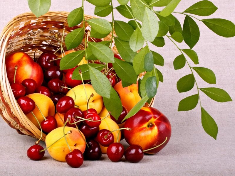 Basket of Fresh Fruit — Red, Natural
