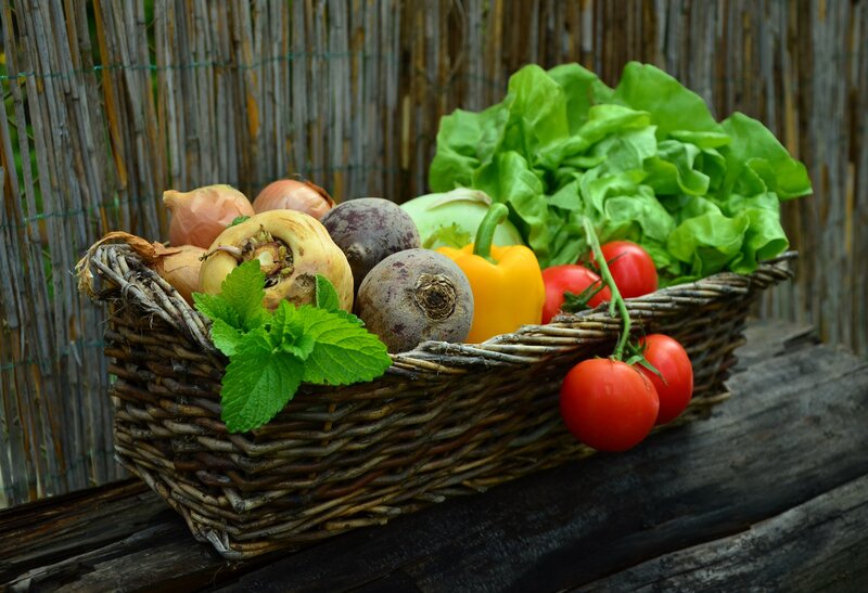Basket of Fresh Vegetables — Green, Natural, Photograph