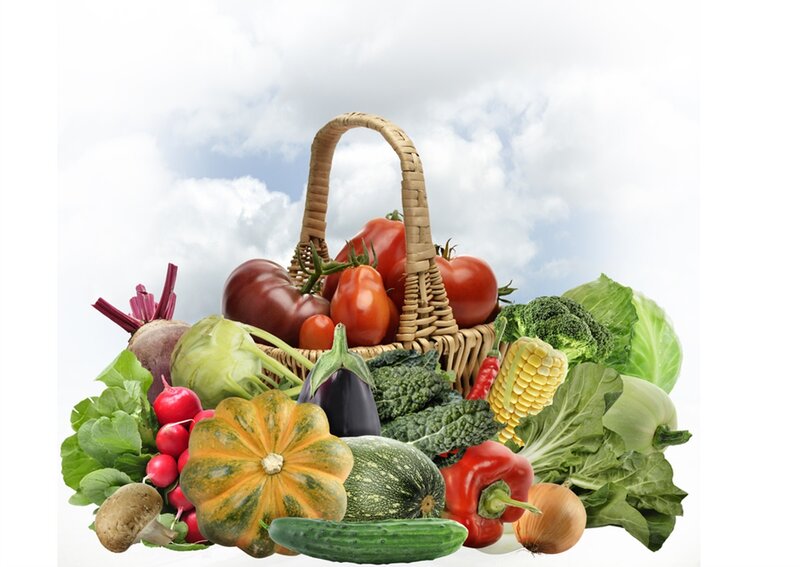 Basket of Fresh Vegetables — Green, Photograph, Tomatoes
