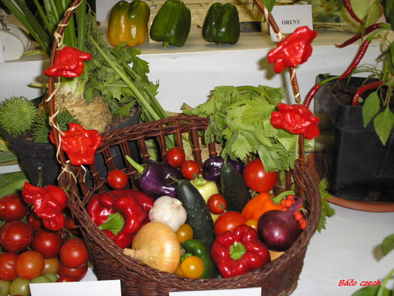 Basket of Fresh Vegetables — Red