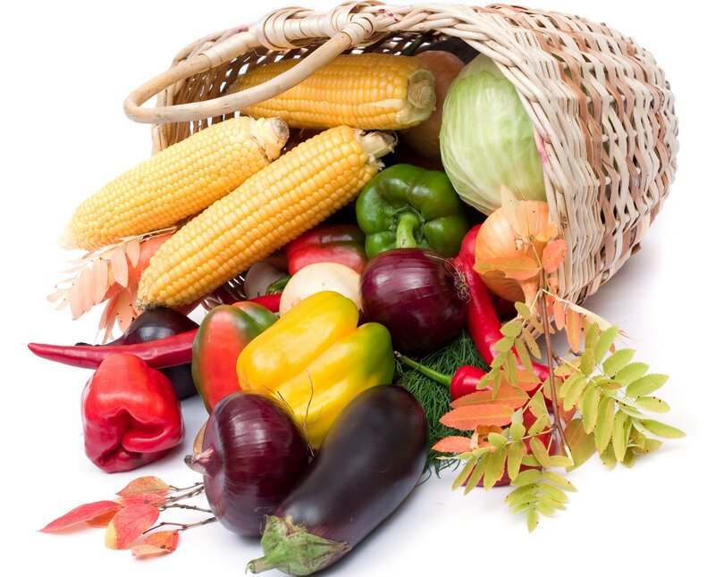 Basket of Fresh Vegetables — Yellow