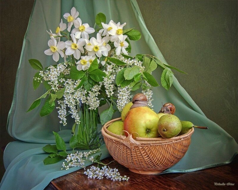 Basket of Fruit and Flowers — Green