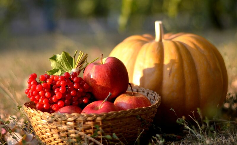 Basket of Fruit and Pumpkin