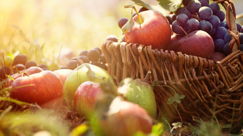 Basket of Fruit in Grass