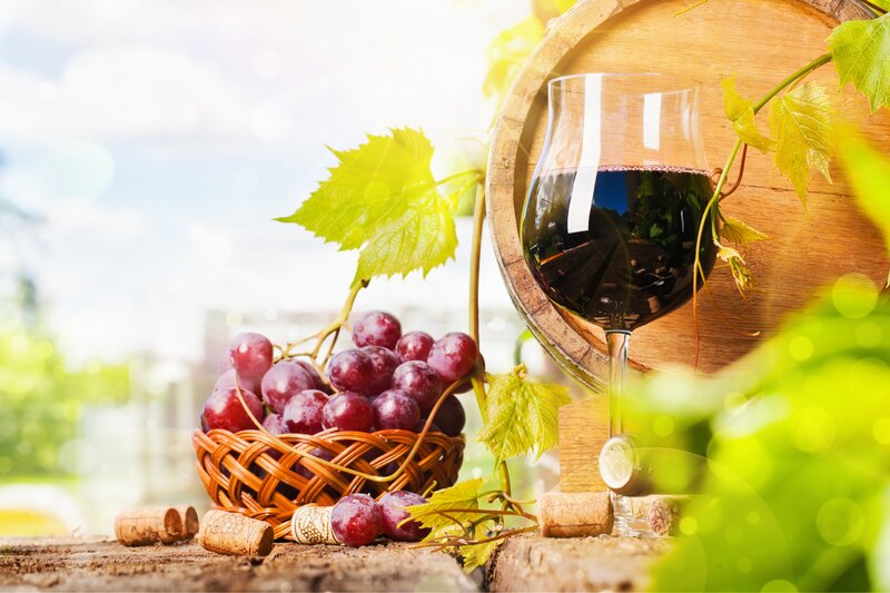 Basket of Grapes and Wine — Green