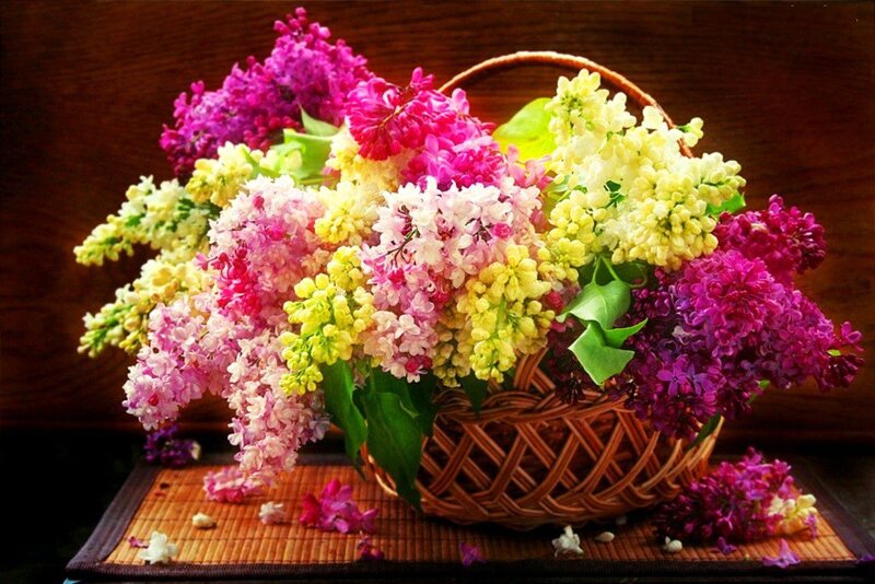 Basket of Lilac Flowers — Purple, Calm