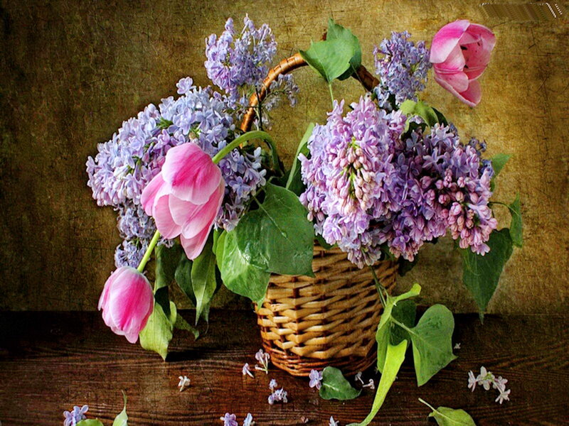 Basket of Lilacs and Tulips — Purple