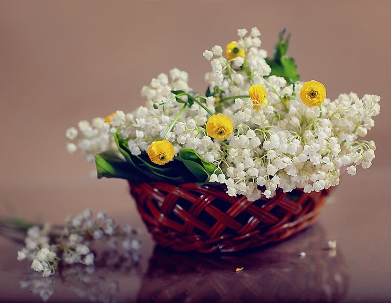Basket of Lilies of the Valley