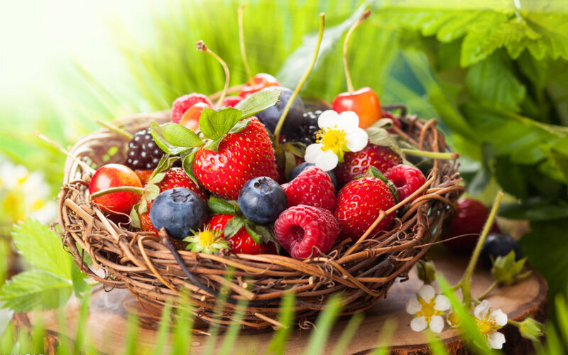Basket of Mixed Berries — Green, Natural