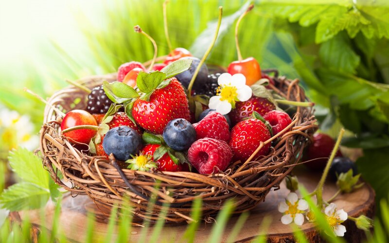 Basket of Mixed Berries — Green